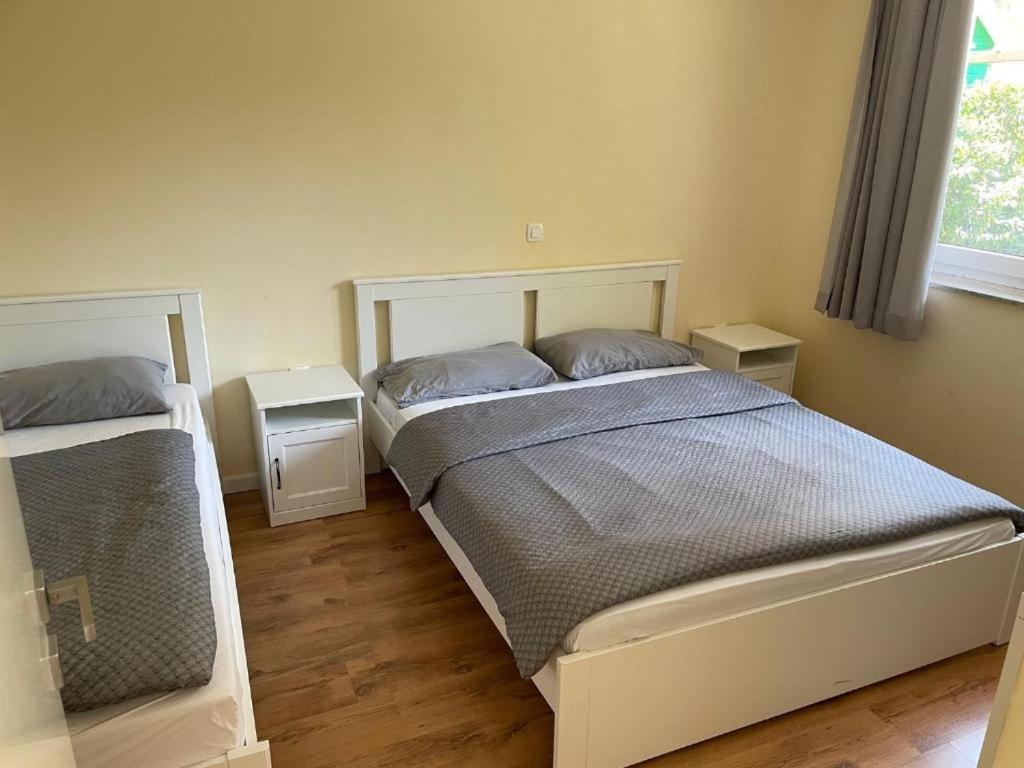 R41 - Tivoli Groundfloor Apartment Lublana Zewnętrze zdjęcie