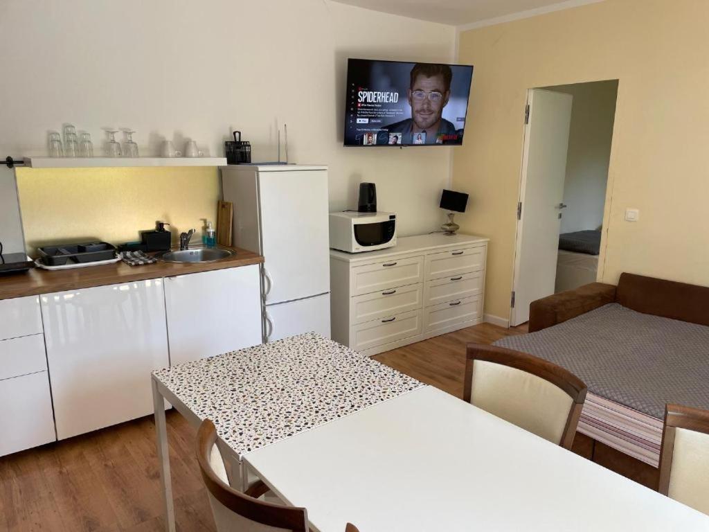 R41 - Tivoli Groundfloor Apartment Lublana Zewnętrze zdjęcie